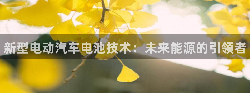 优发国际是大平台吗：新型电动汽车电池技术：未来能源的引领者