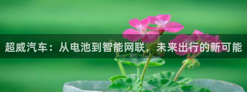 优发国际登录168：超威汽车：从电池到智