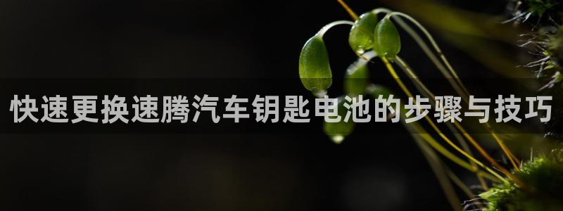 优发国际首页首页y6