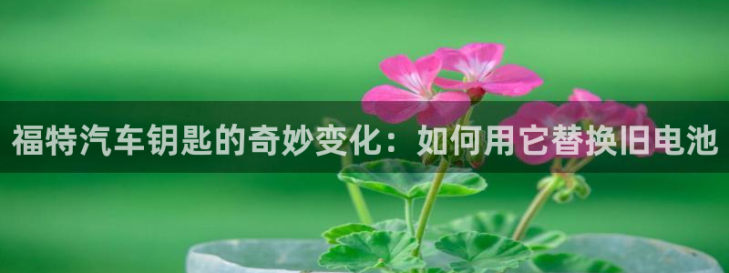 优发国际娱乐官网多少?：福特汽车钥匙的奇妙变化：如何用它替换旧电池