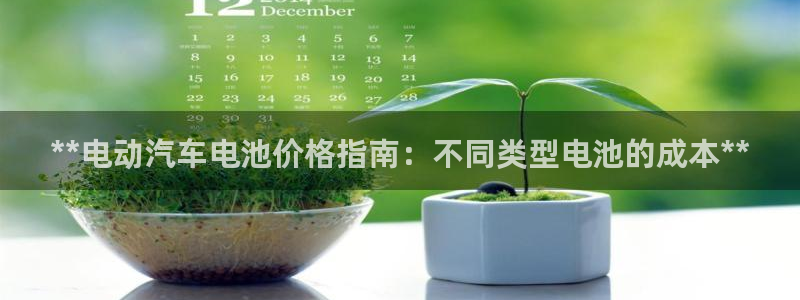 优发游戏官网：**电动汽车电池价格指南：不同类型电池的成本**