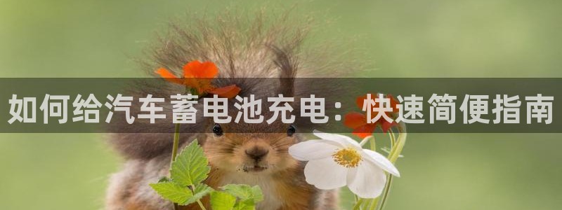 优发国际网官网17k8