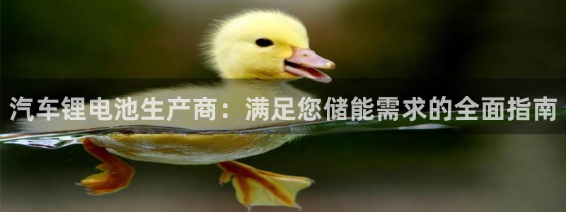 优发国际登录首页官网：汽车锂电池生产商：满足您储能需求的全面指南